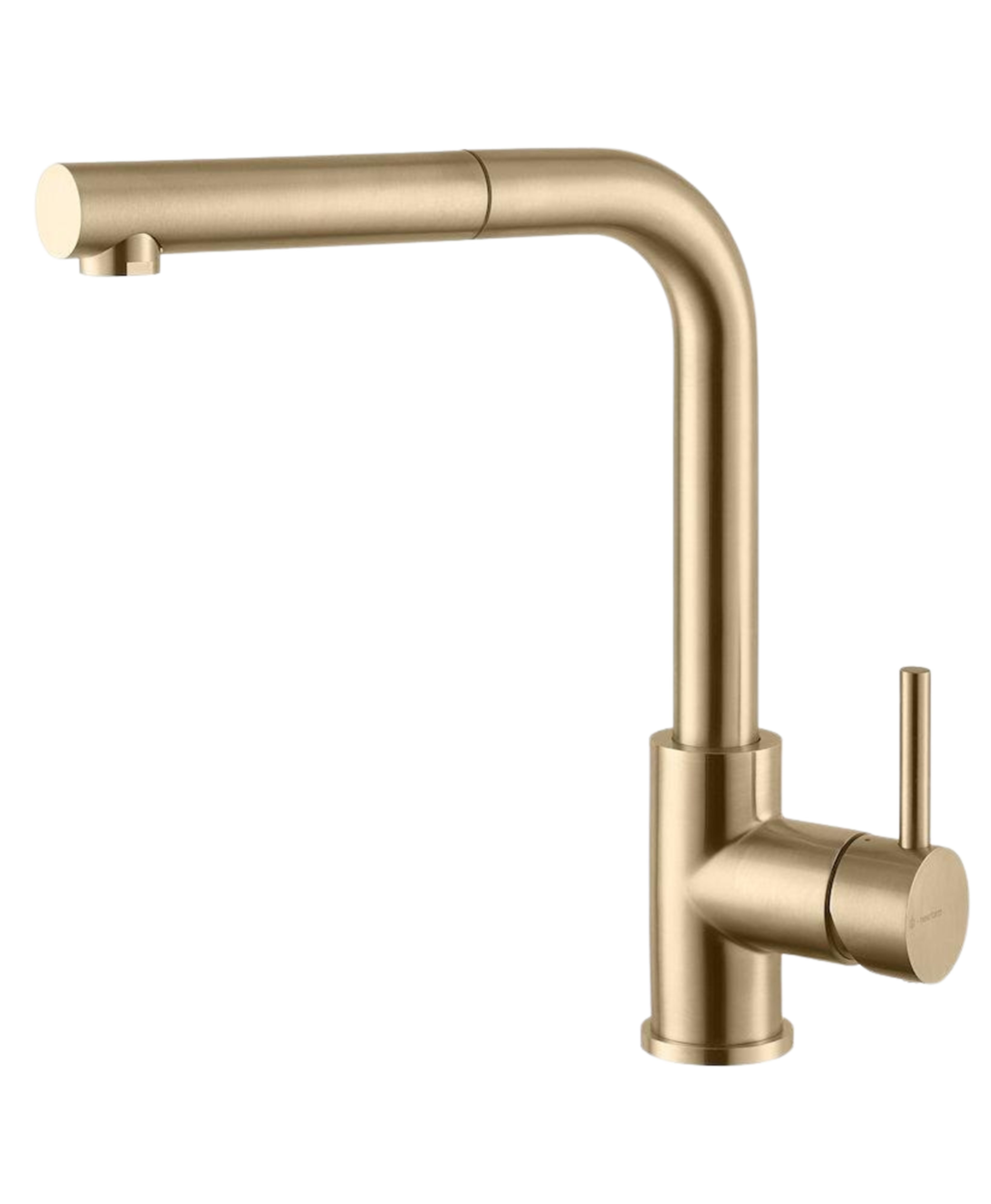 Newform Line with extraction L nozzle Brushed brass
